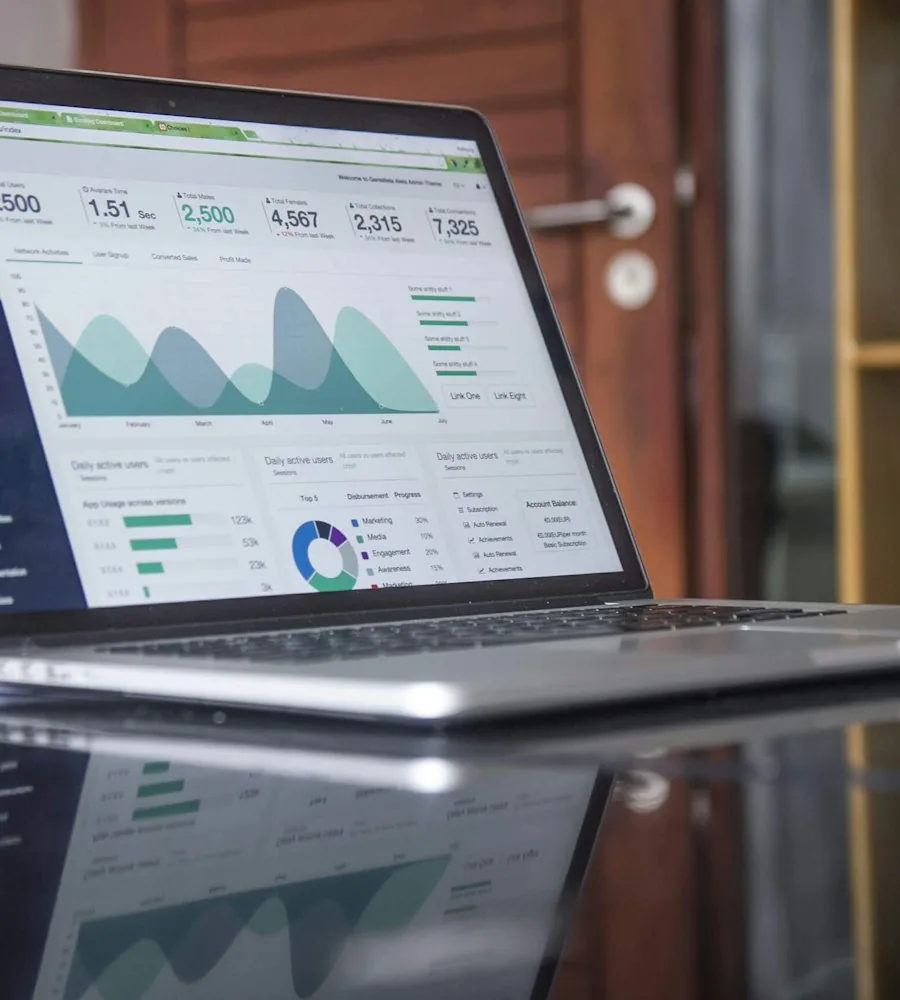 Marketer reviewing Google Ads performance data and ROAS charts on a laptop